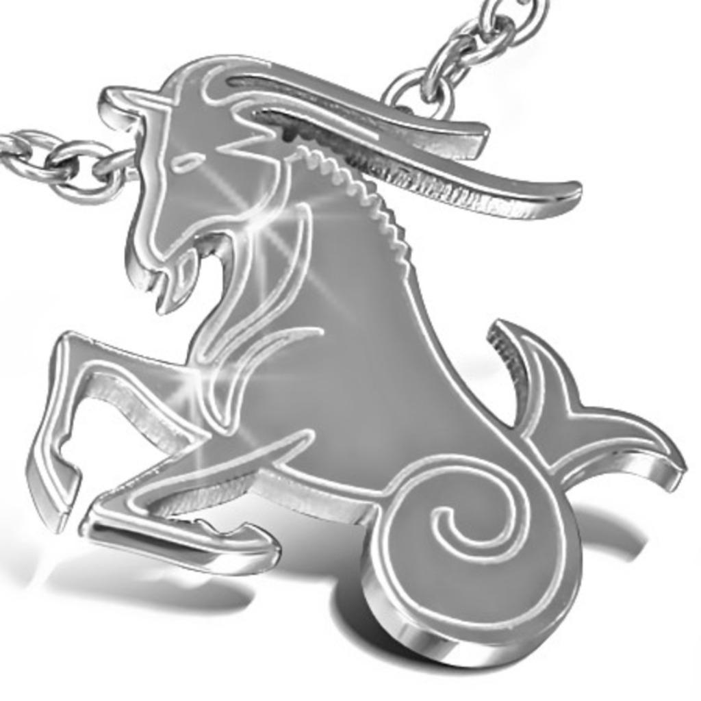 Steenbok horoscoop / sterrenbeeld hanger in edelstaal, Handtassen en Accessoires, Ophalen of Verzenden, Nieuw