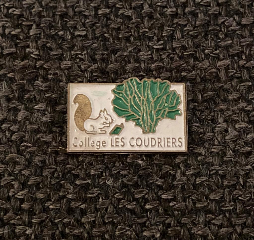 PIN - COLLEGE DES COUDRIERS - EEKHOORN - ECUREUIL - SQUIRREL, Envoi, Utilisé, Autres sujets/thèmes, Insigne ou Pin's