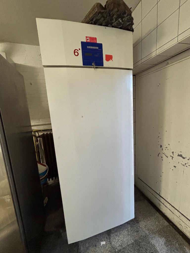 Liebherr bakkerij vrieskast – bakplaten – werkend, Elektronische apparatuur, 160 cm of meer, Zo goed als nieuw, Ophalen, Vrieskast