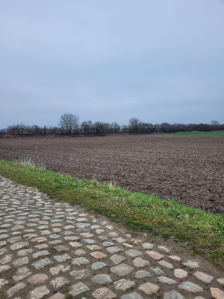 Terrain agricole libre 1 hectare à GEMBLOUX, Province Namur
