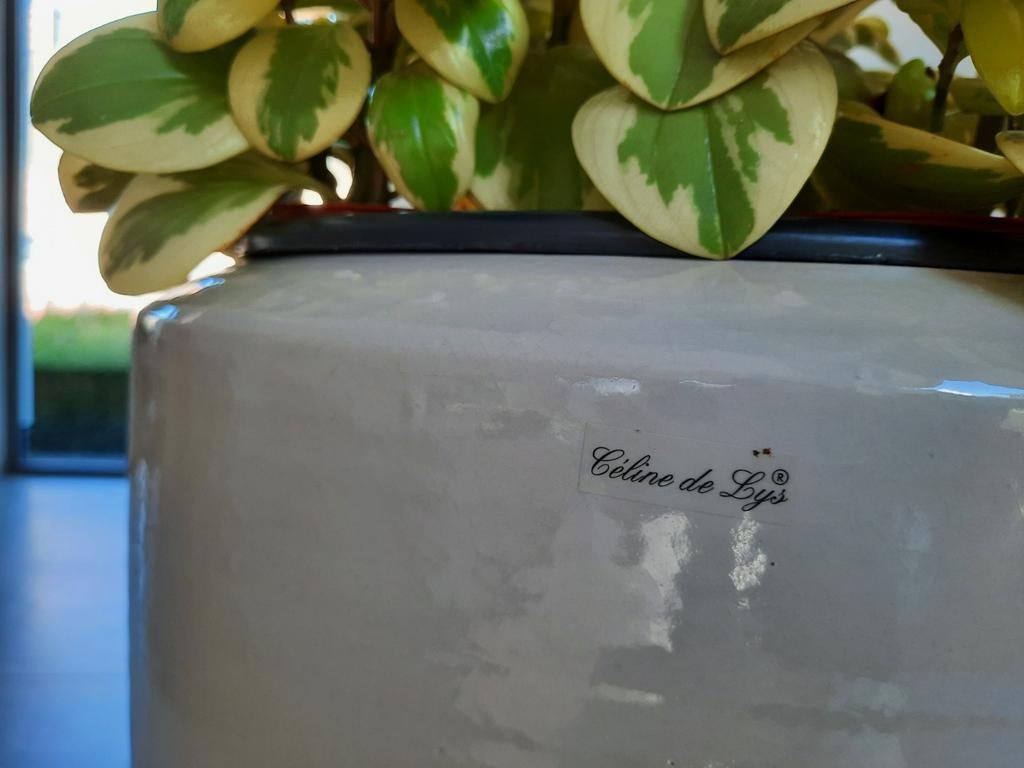 Hoge vaas Celine De Lys, Ophalen