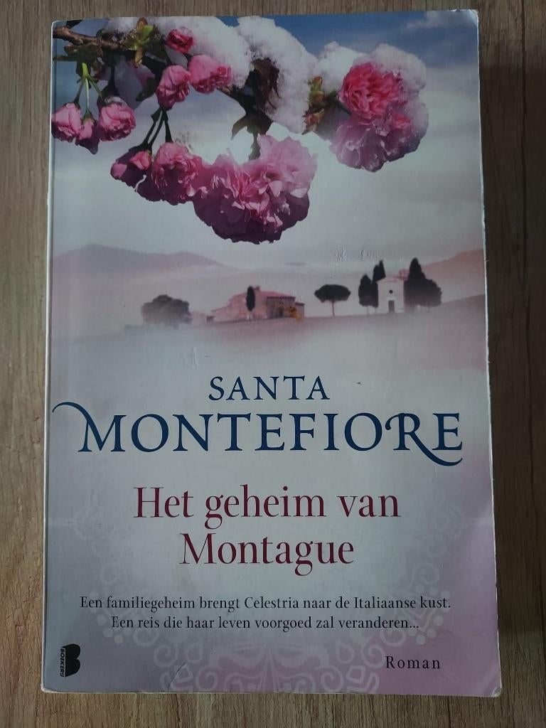 Santa Montefiore - Het geheim van Montague, Ophalen of Verzenden, Nederland, Santa Montefiore, Zo goed als nieuw