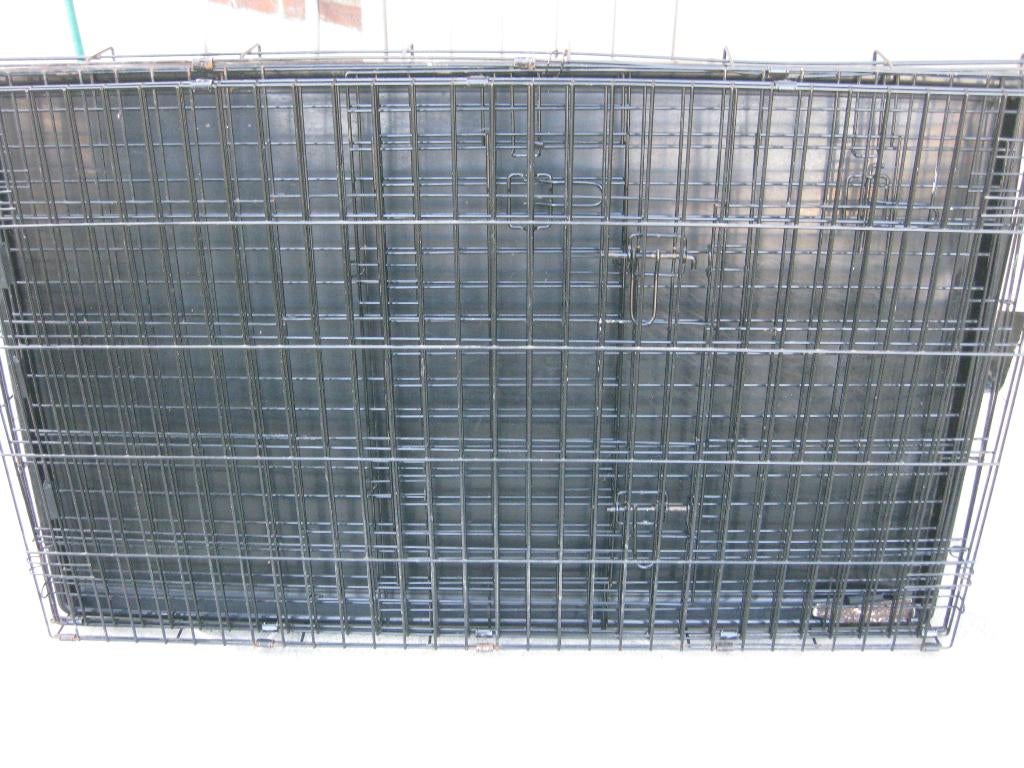 hondenkennel, 3 à 5 ans, Particulier, Belgique, Épagneul