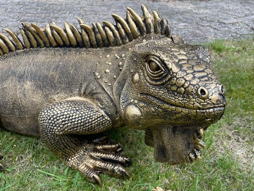Iguane, bronze, jardin, piscine, étang, salamandre 100 cm, Enlèvement, Neuf, Synthétique, Animal