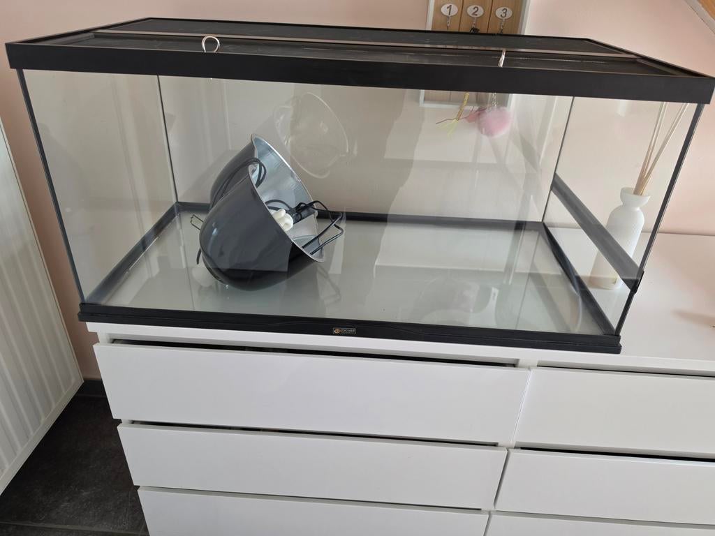 Terarium zoomed en dubbele lamp zoomed (uv-lamp erbij), Dieren en Toebehoren, Ophalen