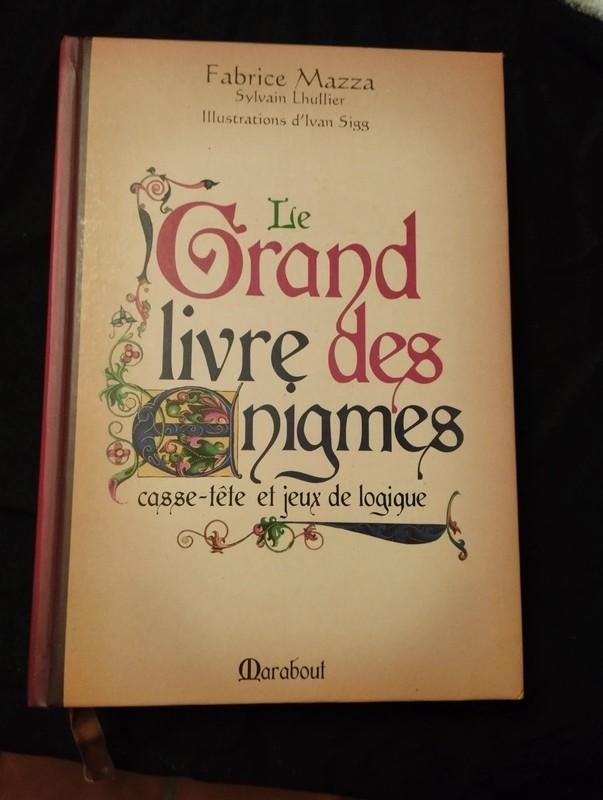 Het grote boek met raadsels, puzzels en logische spelletjes, Hobby en Vrije tijd, Ophalen, Gebruikt