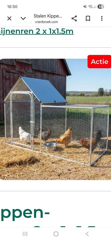 Nieuw kippen-knaagdierenren, Animaux & Accessoires, Enlèvement