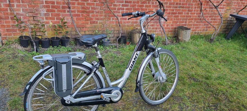Elektrische fiets GIANT geen display met twee batarij, Ophalen of Verzenden