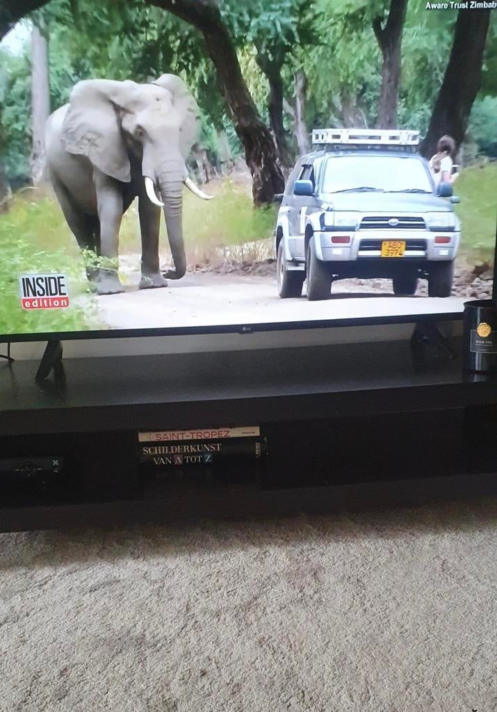 Tv meubel, Animaux & Accessoires