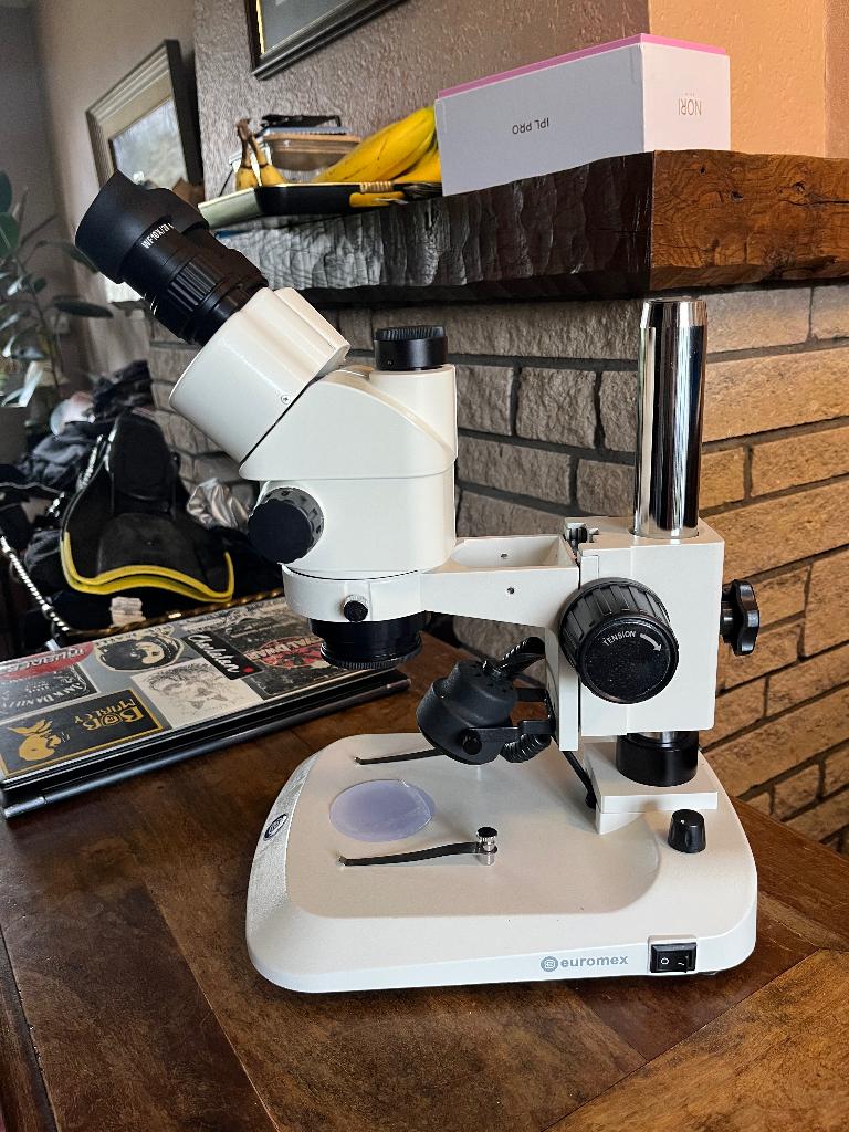 Euromex licht microscoop, Audio, Tv en Foto, Optische apparatuur | Microscopen, Ophalen of Verzenden, Gebruikt, 400x tot 1000x