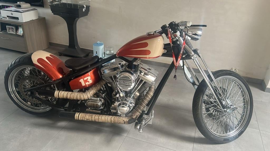 Harley custom