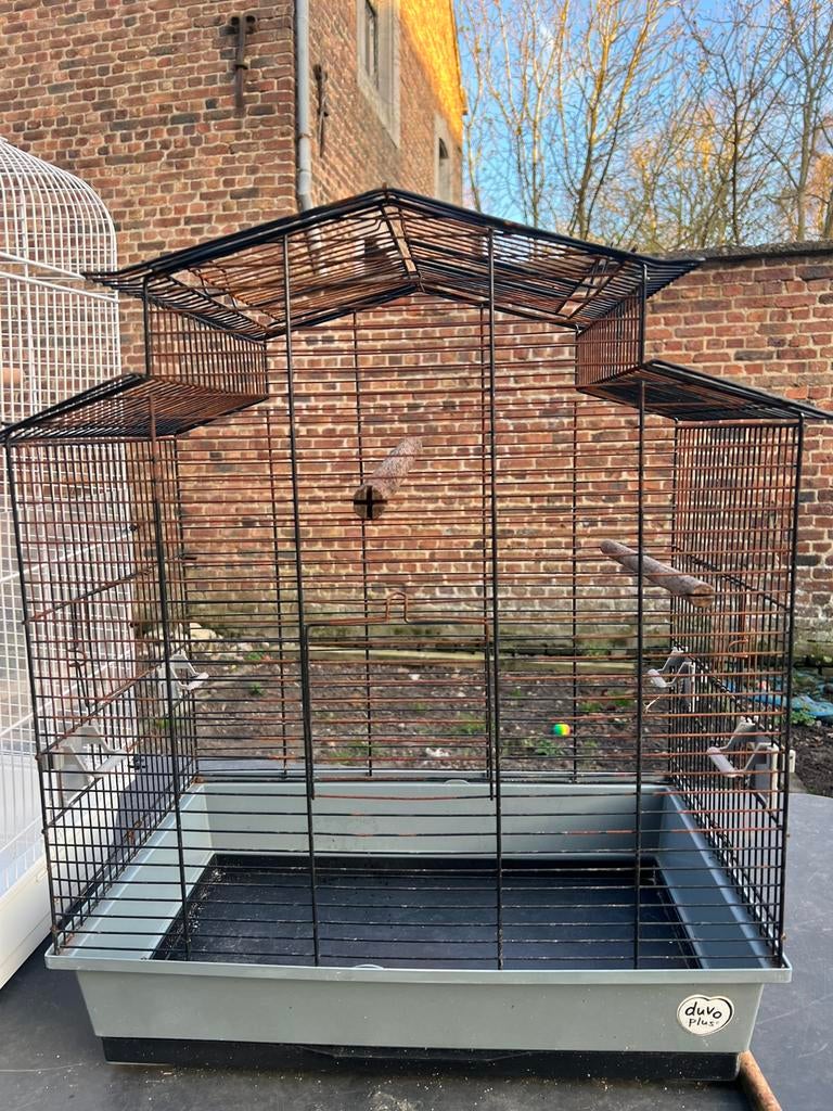 Vogelkooi, Ophalen, Vogelkooi