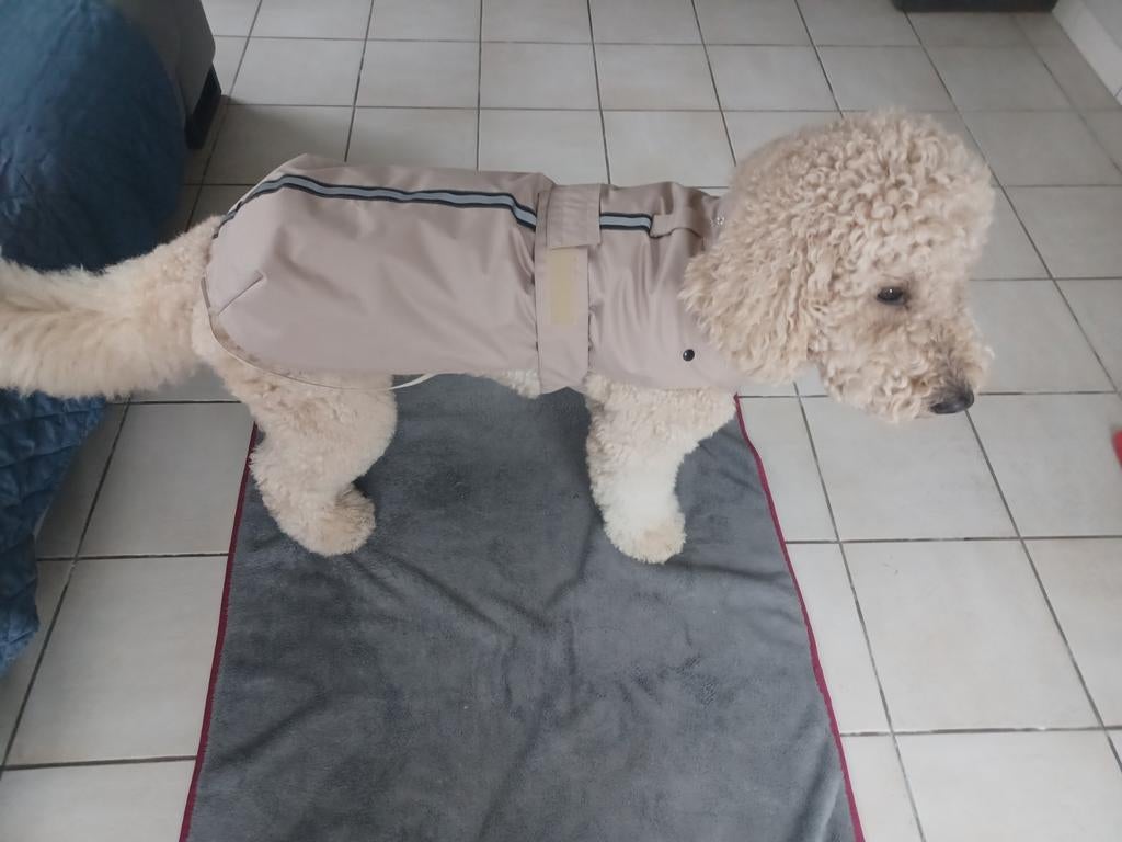 Honden jas met uitneembare fleec, Dieren en Toebehoren, Hondenkleding, Ophalen