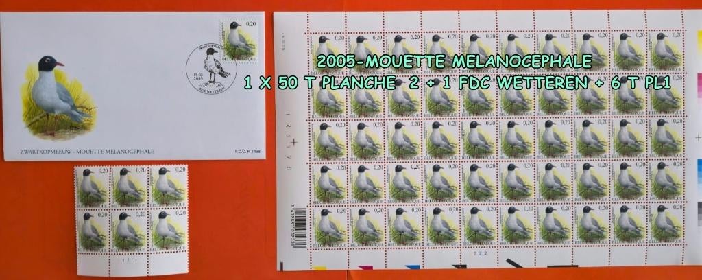 2005-MOUETTE MELANOCEPHALE 1FDC, Envoi