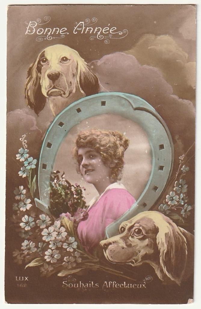 Bonne Année Femme fer à cheval 2 chiens souhaits affectueux, Collections, Cartes postales | Animaux, Envoi, Non affranchie, Chien ou Chat