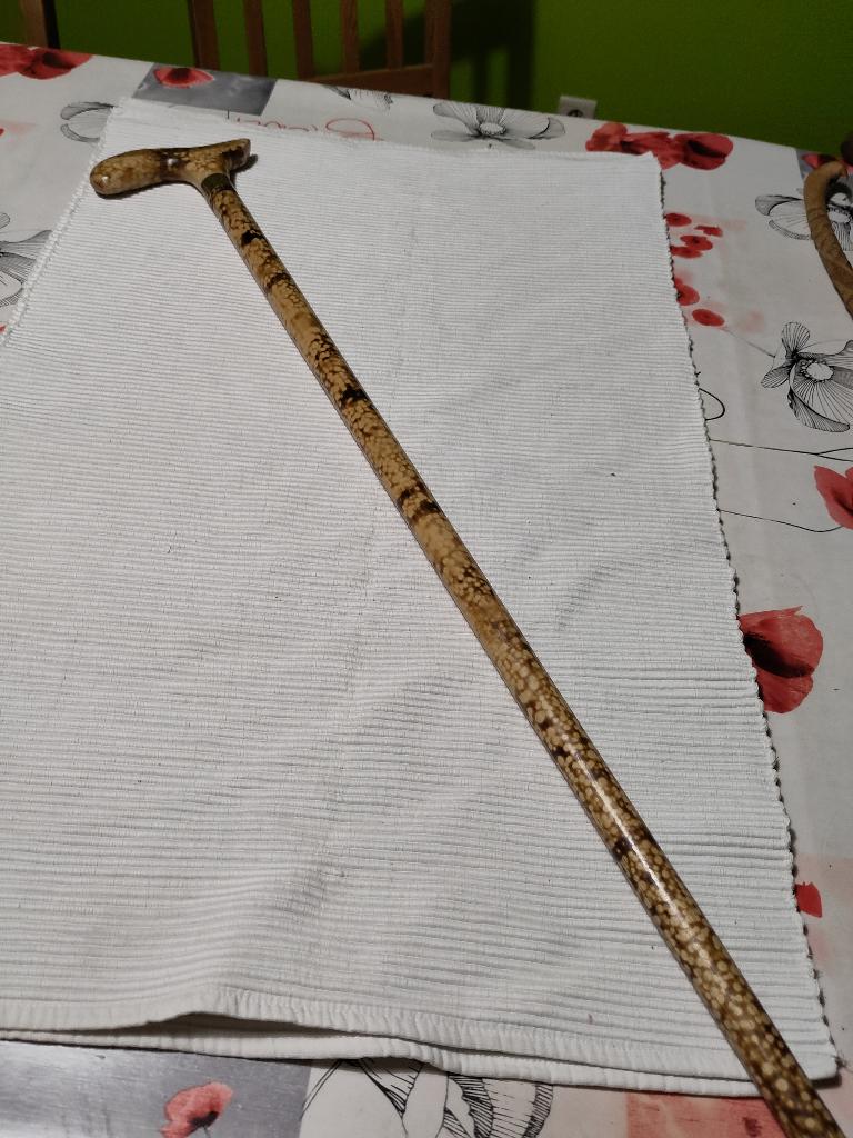 Canne en bois tacheté, Antiquités & Art, Enlèvement