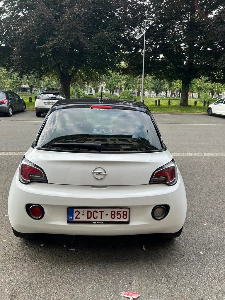 Opel adam, Auto's, Opel, Bedrijf, ADAM, Airbags, Bluetooth, Cruise Control, Radio, Start-stop-systeem, USB, Benzine, Euro 5, Overige carrosserie