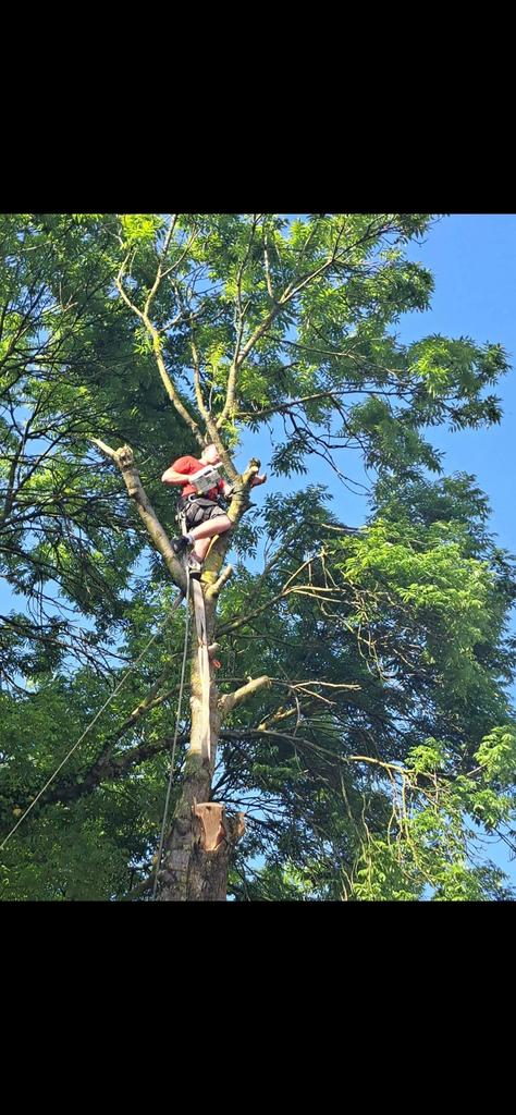 Jardinier , entrepreneur de parc et jardin