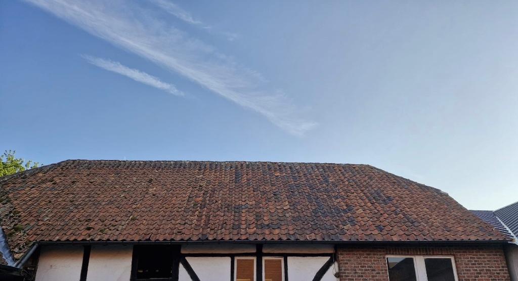 Poêles à arbres rouges., Bricolage & Construction, Tuiles & Revêtements de toit, Pierre ou Argile, Enlèvement, Utilisé, Rouge