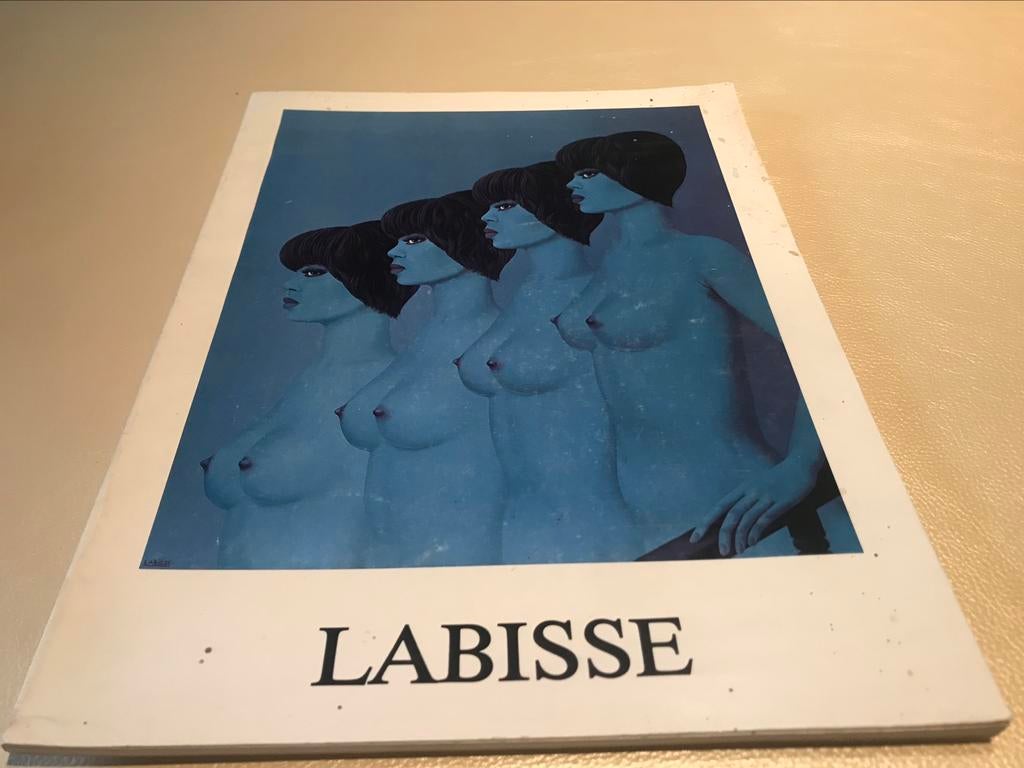 Felix Labisse Peintures Paris 40pag, Ophalen of Verzenden, Zo goed als nieuw, Schilder- en Tekenkunst