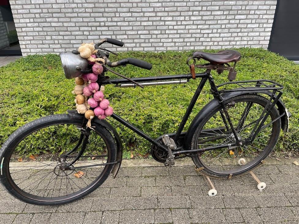 Bury, 61 à 65 cm, Enlèvement, Utilisé, Autres marques