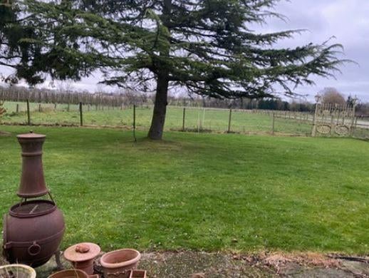 weide te huur -paarden, Weidegang, 2 of 3 paarden of pony's