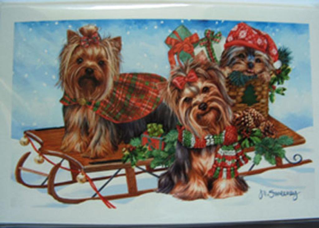 Cartes en Français : Vœux de fin d’année et Noël, Yorkshire, Ophalen of Verzenden, Nieuw, Feestartikel