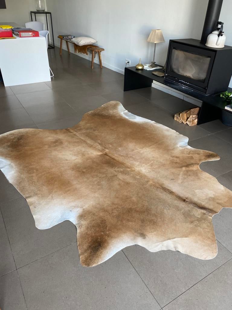 Koeievel, Enlèvement, Comme neuf