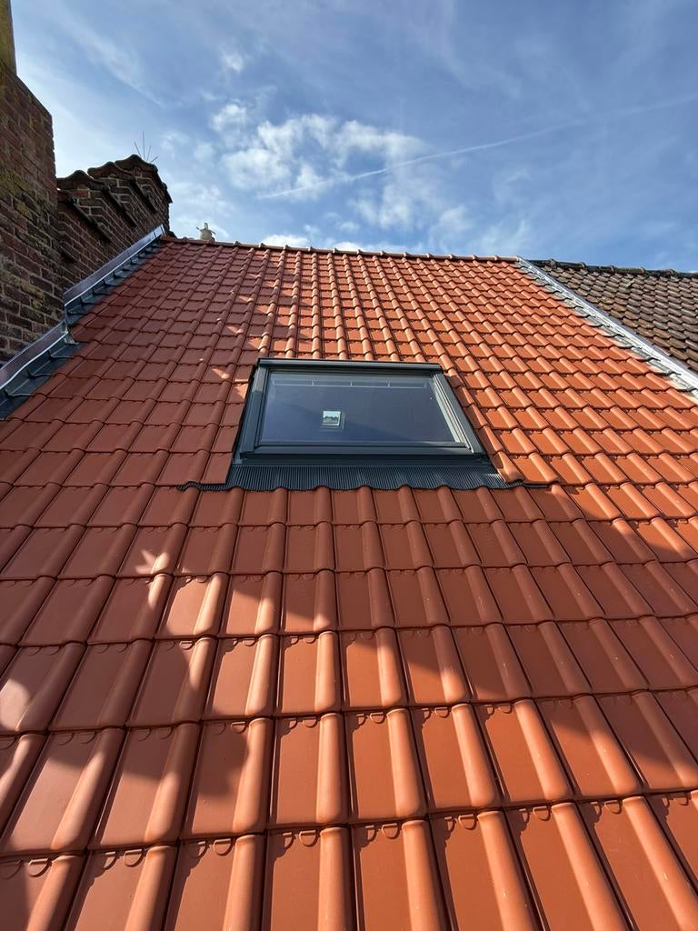 Entreprises de toiture, Bricolage & Construction, Tuiles & Revêtements de toit, Comme neuf, Tuiles, Enlèvement