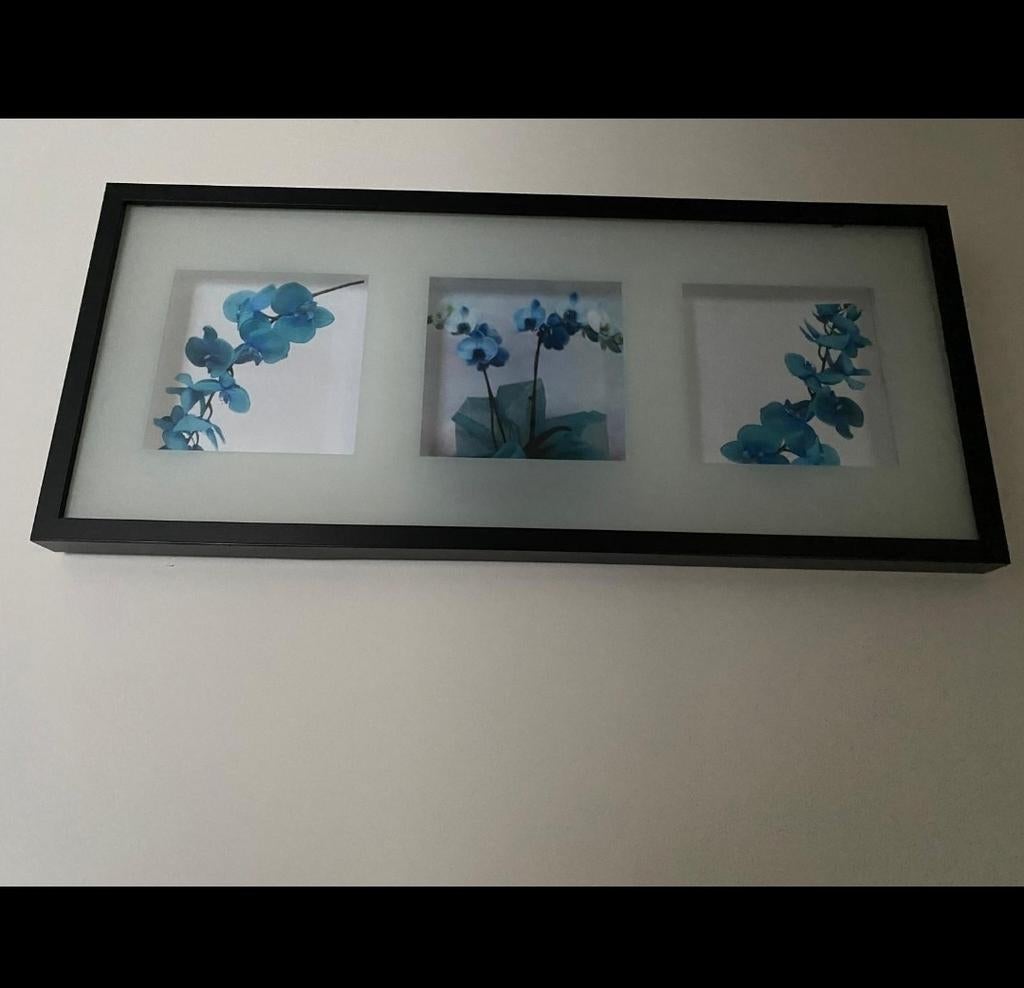 Cadre déco a fleurs, Enlèvement