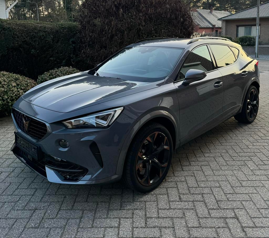 Cupra Formentor 2.0 TSI / 4Drive / DSG /, Autos, Cupra, Entreprise, Formentor, Caméra 360°, Essence, Euro 6, Automatique, Enlèvement