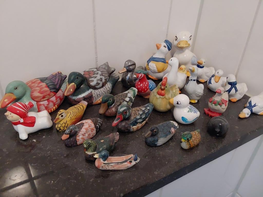 Verzameling eendjes, Ophalen