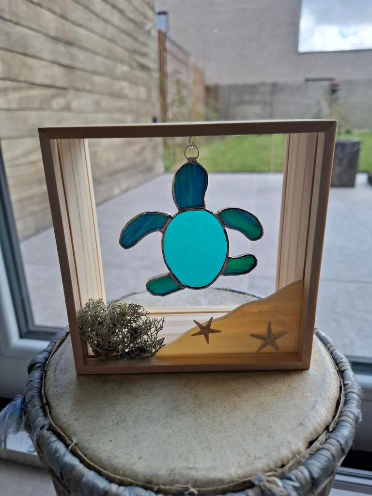 Zeeschildpadje, Ophalen of Verzenden