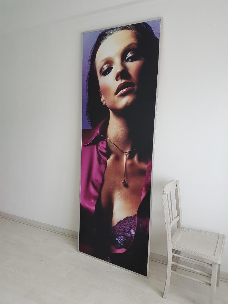 Grande photo publicitaire, 225 x 80, Rectangulaire vertical, Avec cadre, Comme neuf, Affiche ou Poster pour porte ou plus grand