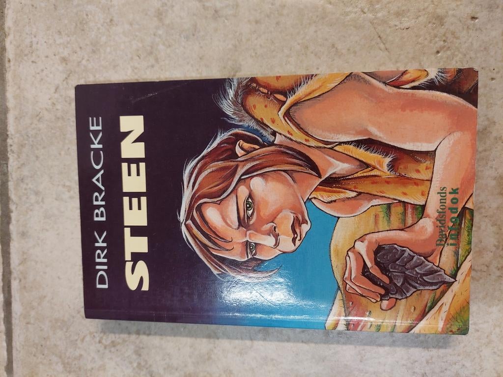 Dirk Bracke - Steen, Ophalen of Verzenden, Zo goed als nieuw, Dirk Bracke