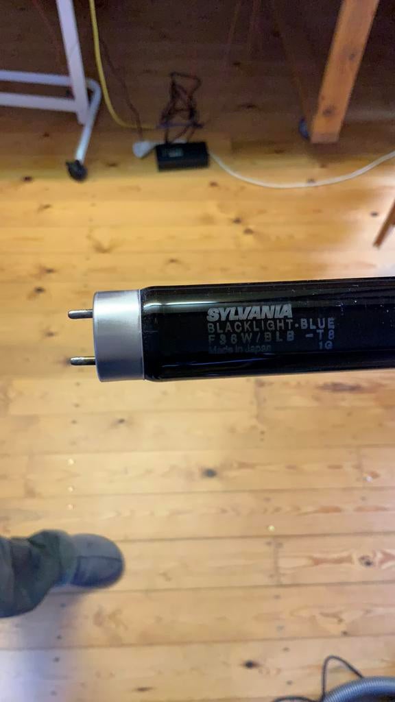 Sylvania Blacklight Blue Lamp, Ophalen, Nieuw, 30 tot 60 watt
