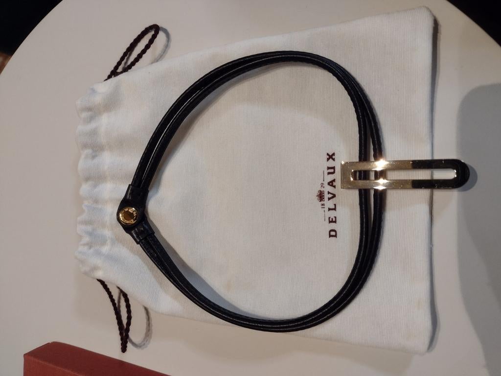 Halsketting Delvaux, Kleding | Dames, Riemen en Ceinturen, Ophalen