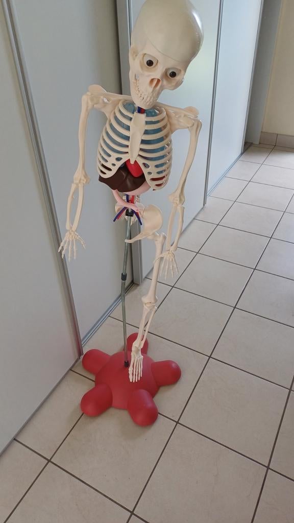 A la découverte du corps humain, Enfants & Bébés, Enlèvement ou Envoi, Comme neuf