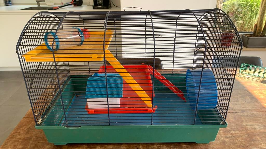 Knaagdierenverblijf, Kooi, Gebruikt, Minder dan 75 cm, Hamster