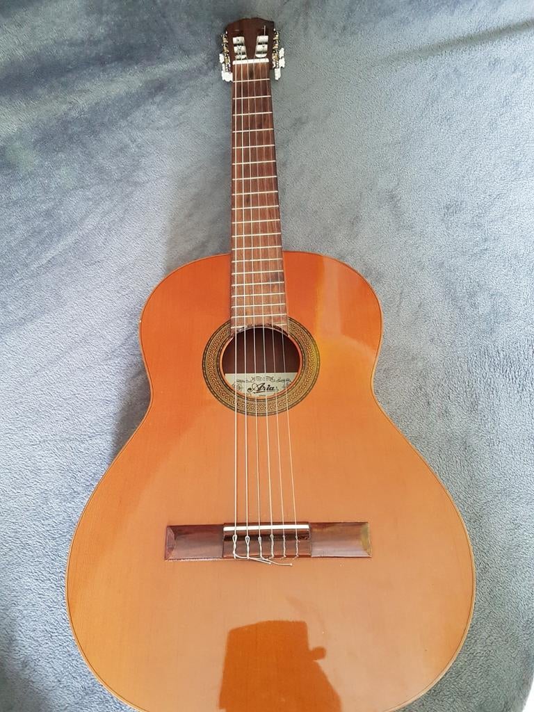 Guitare espagnole Aria, Enlèvement