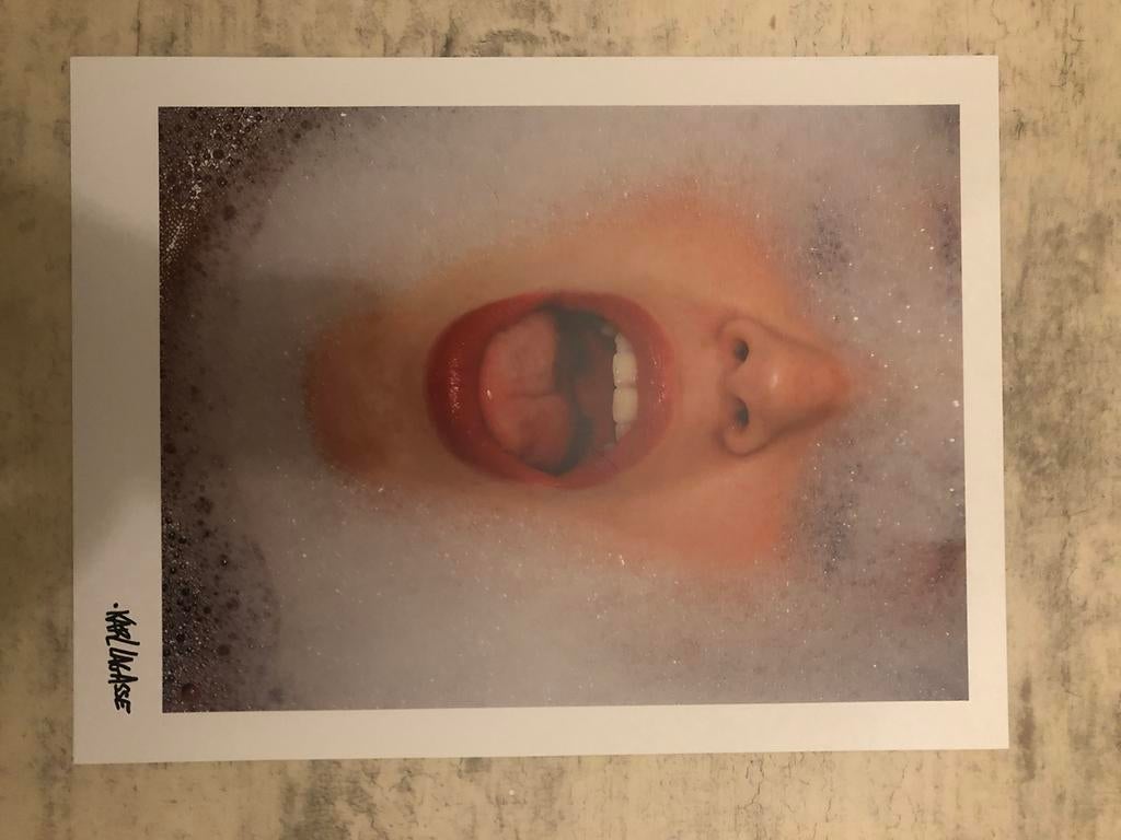 Karl Lagasse kunstfoto, Ophalen