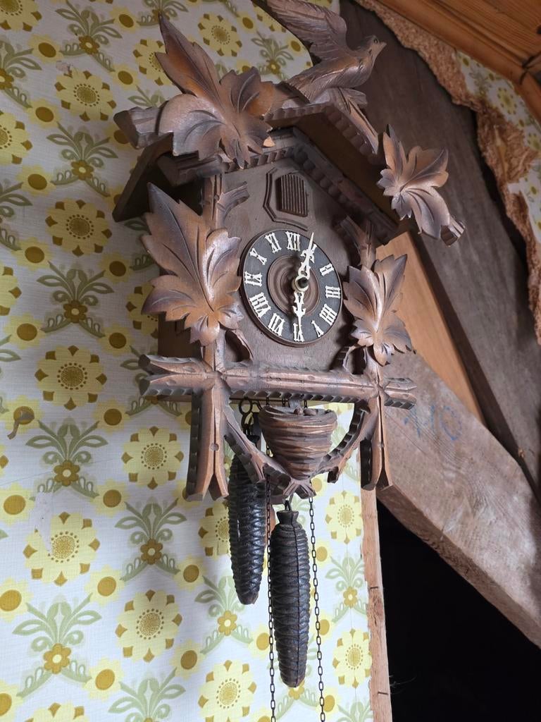 Koekoeksklok, Ophalen