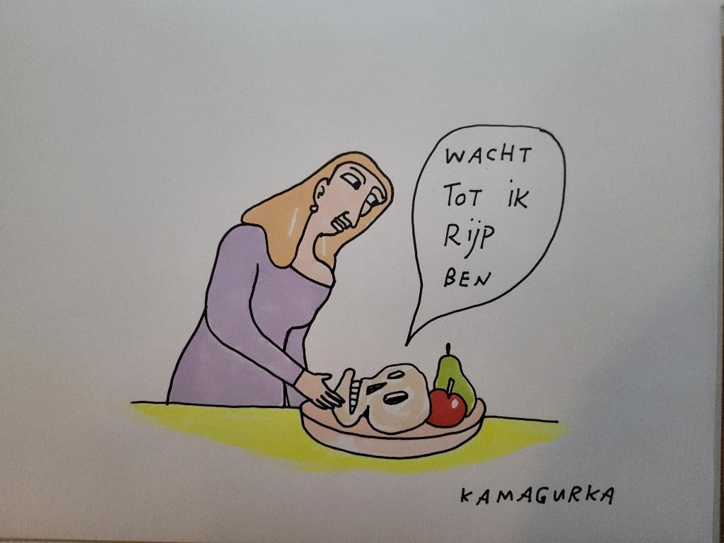 Kamagurka origineel, Antiek en Kunst, Ophalen of Verzenden