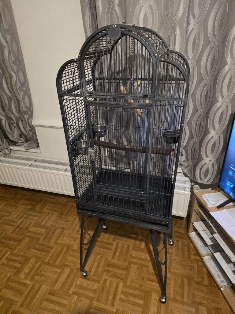Cages pour perroquet, Dieren en Toebehoren, Vogels | Hokken en Kooien, Ophalen, Nieuw, Metaal, Vogelkooi