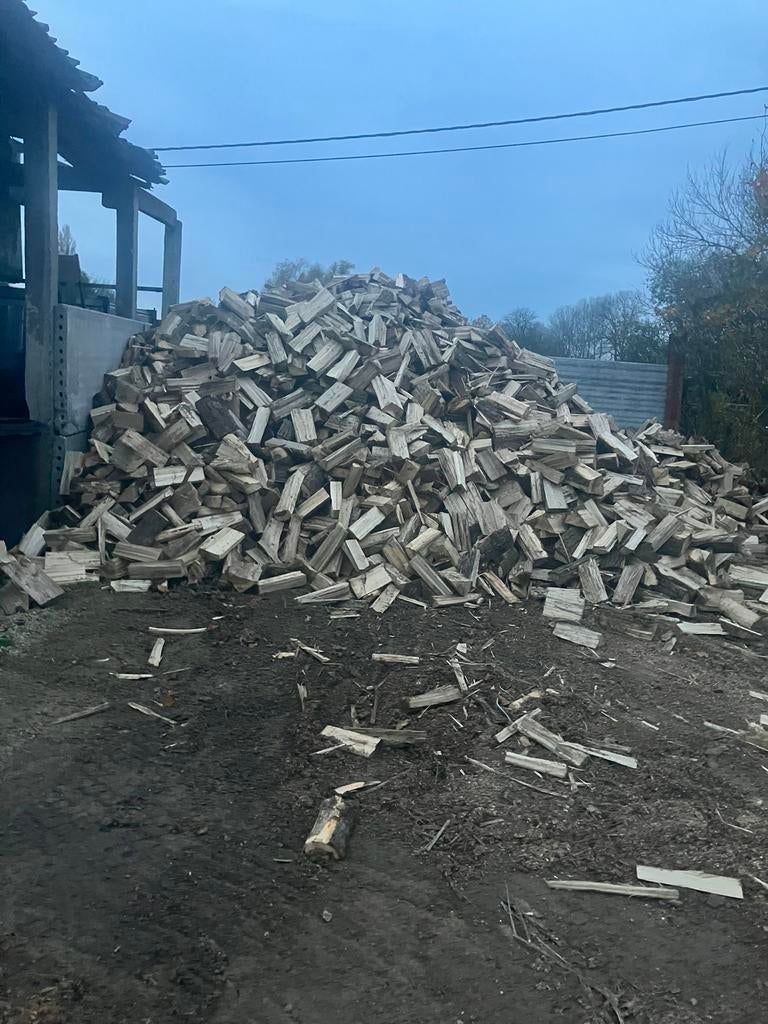 Brandhout, Jardin & Terrasse, Bois de chauffage, Enlèvement ou Envoi