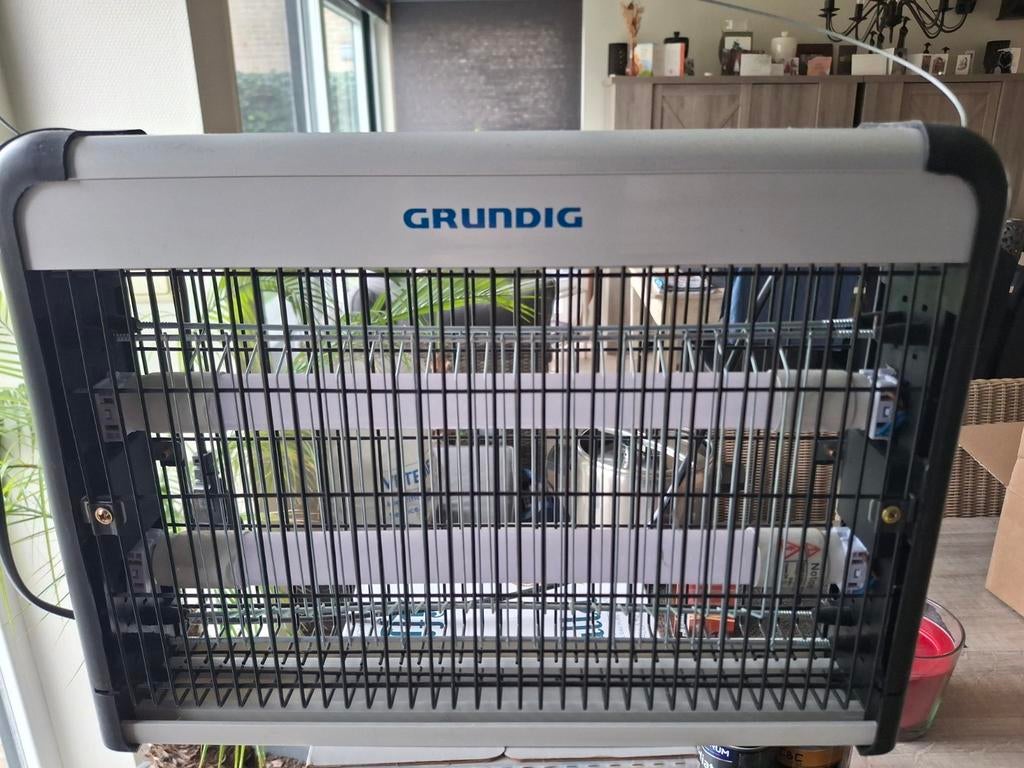 Grundig vliegenvanger, Dieren en Toebehoren, Insecten en Spinnen