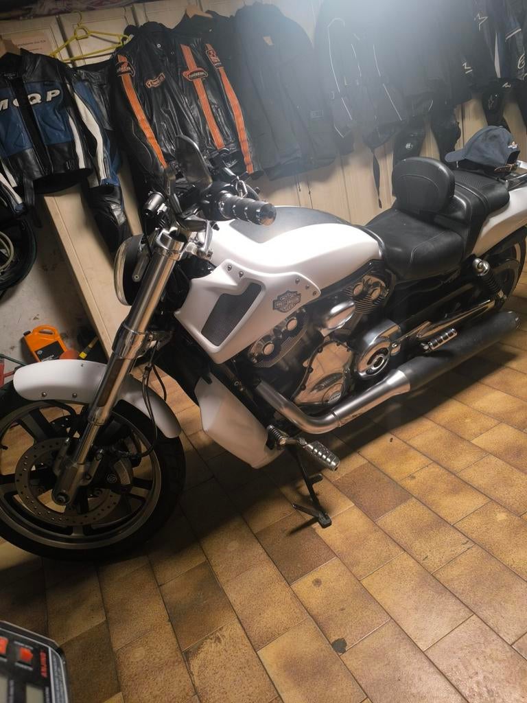 Harley Davidson V-rod muscle 1250cc bj. 2012, 53000km, Motoren, Motoren | Harley-Davidson, Particulier, Ophalen