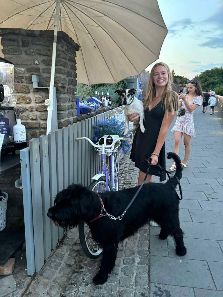 Garde d'animaux, Juillet