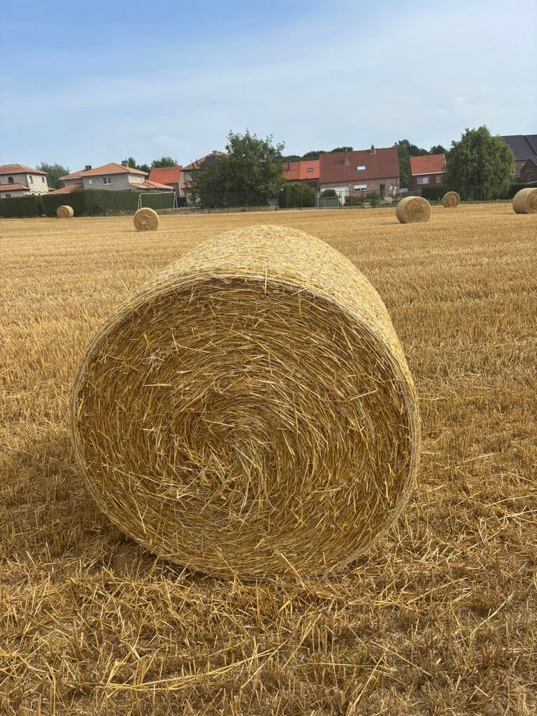 Stro, Zakelijke goederen, Landbouw | Veevoer, Ophalen