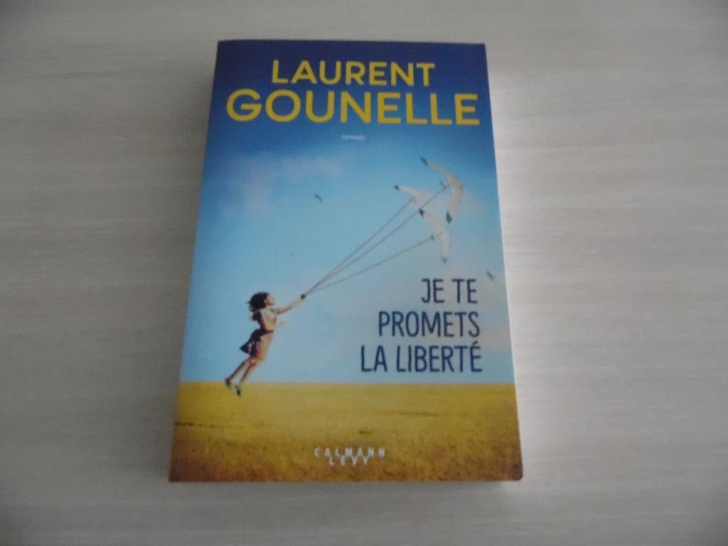 JE TE PROMETS LA LIBERTÉ       LAURENT GOUNELLE, Boeken, Romans, Zo goed als nieuw, Europa overig, Ophalen of Verzenden